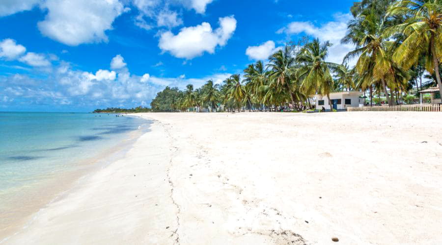 Nosso inventário inclui uma ampla variedade de veículos.